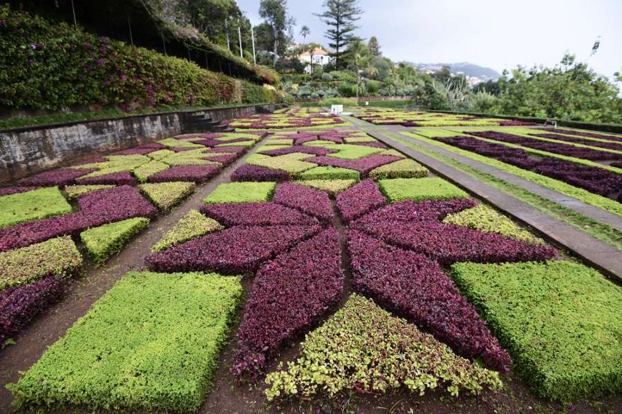 Funchal Madeira Portugal