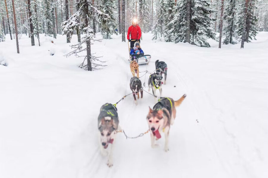Five Huskys Pulling A sled in the snow