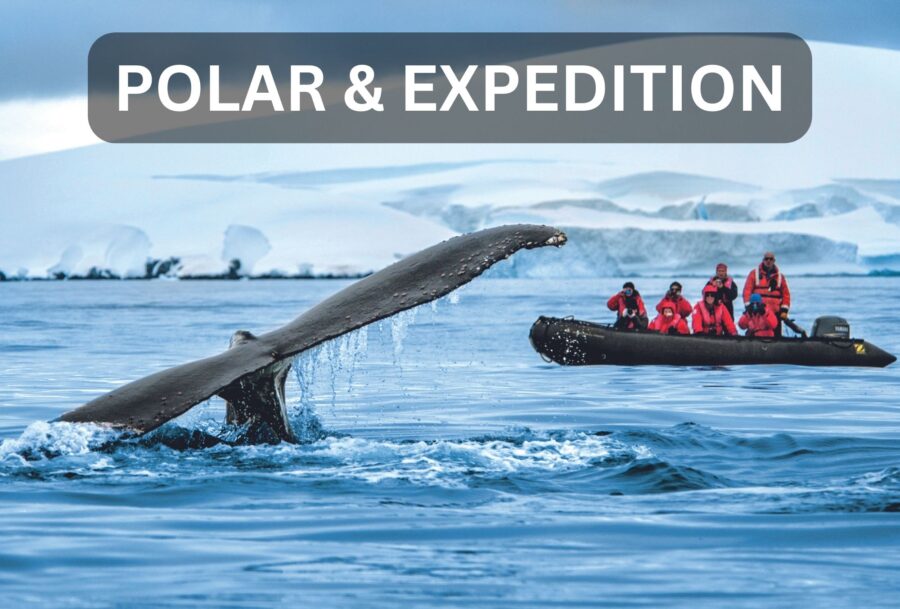 Whale's tale submerging off Antarctica with onlookers in a rib surrounded by ice flow.