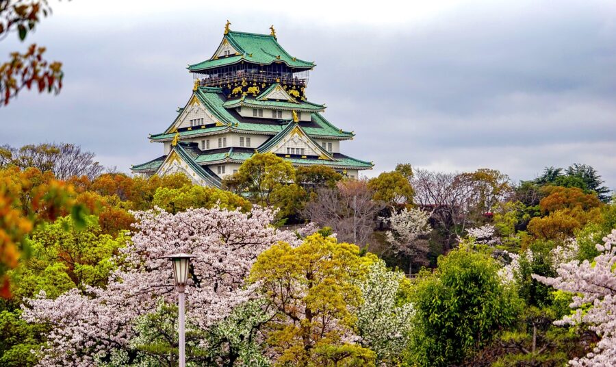 Osaka Castle surrounded by lush green gardens and cherry blossom trees in full bloom under a clear blue sky.